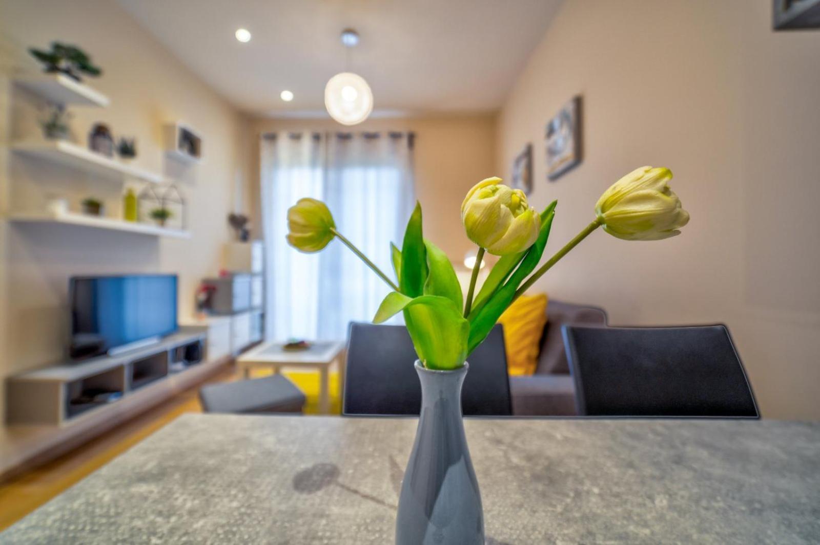 Luxury Kalman Centar Apartman Ζλάτιμπορ Εξωτερικό φωτογραφία